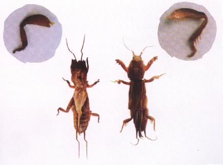 File:01300000165022121061912329961.jpg