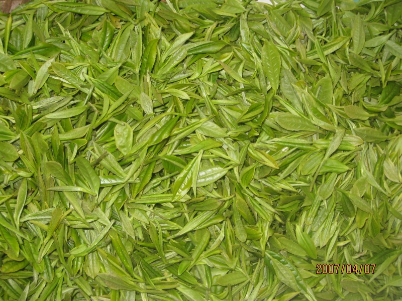 File:01300000167299121743587217886.jpg