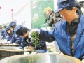 2014年8月17日 (日) 11:30的版本的缩略图