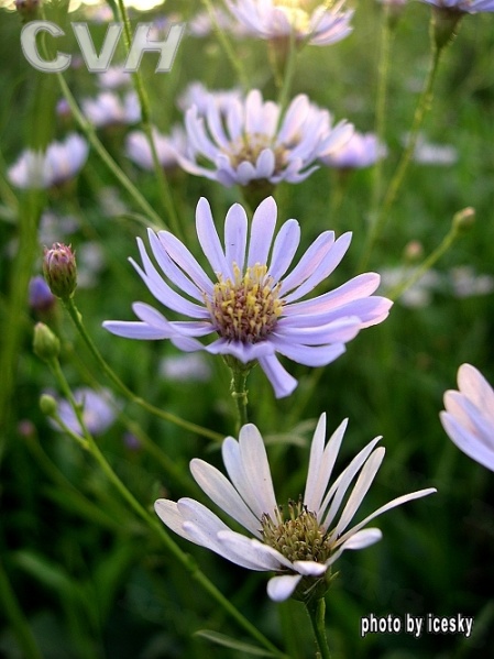 File:01300000091274120982149309233.jpg